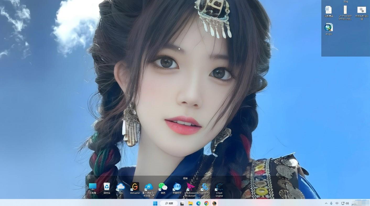 桌面分类软件,coodesker(酷呆桌面v1.0.3.6)