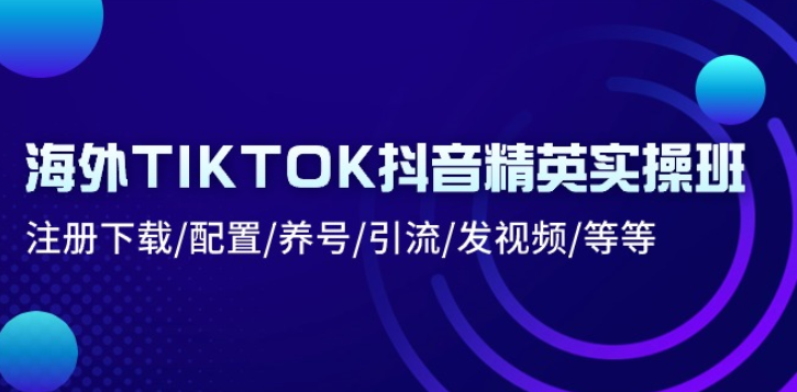 海外TIKTOK<strong>抖音</strong>精英实操班：注册下载/配置/养号/引流/发视频/等等