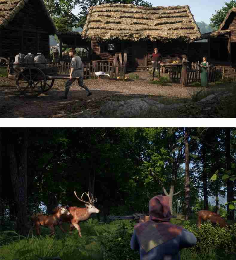 《中世纪王朝》v2.3.0.7中文版