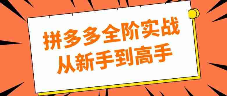 拼多多全阶实战从新手到高手
