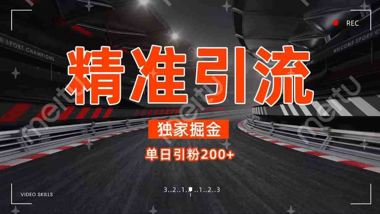 独家野路子精准引流 每日200+