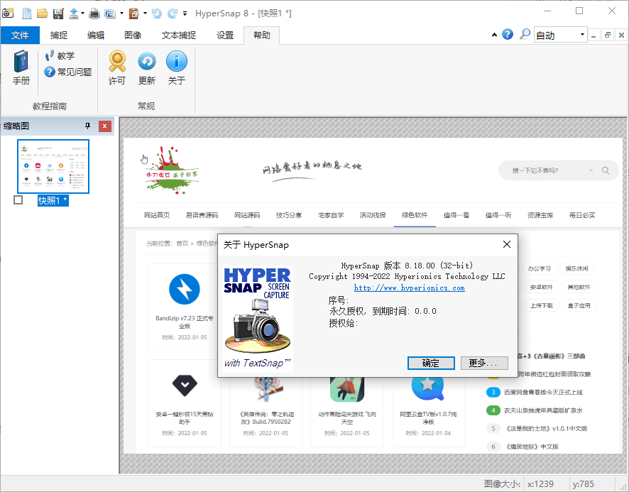 HyperSnap v10.0.2便携汉化版