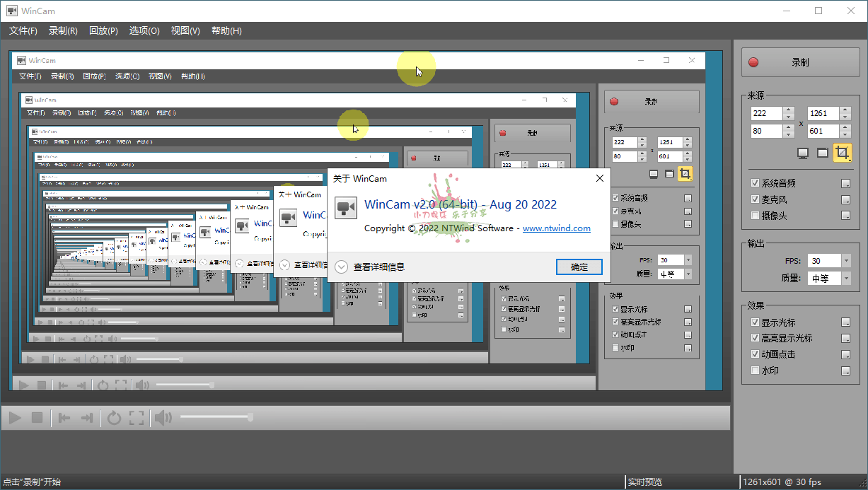 WinCAM屏幕录像v4.0.0中文版